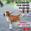 Nylon Dog Leash for Small Dogs and Medium Dogs 4 Ft Strong Dog Leash Heavy Duty Leashes for Large Breed Dogs & Puppy Leash for Small Boy & Girl Dogs